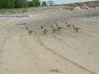 DSCF0343.webp