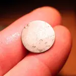 NH FINDS 06-20 005.webp