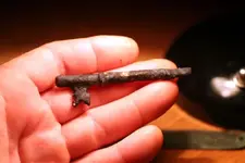 NH FINDS 06-20 008.webp