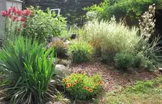 IMG_0469 [640x480].webp