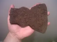 IMG00305-20110530-2037.webp
