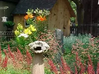 yard.webp