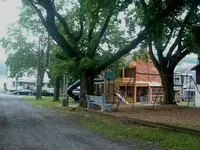 Picture 004.webp