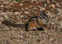 IMG_1702_edited-1.webp
