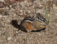 IMG_1705_edited-1.webp