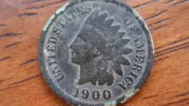 Orange Indian.webp