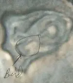 sterling ring 001.webp