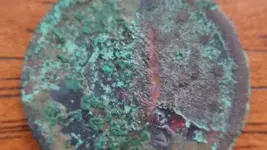 Orange Large Cent.webp