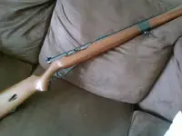 Gun side.webp