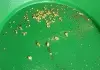 avatar_62540.webp