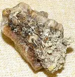 electrum03.webp