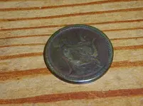 Finds 2011 007.webp