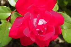 100_0860.webp