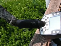 2011-06-11 007.webp
