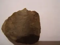 DSCF1683.webp