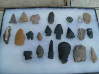 P1010370.webp