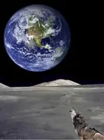wolfie1.webp