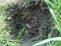 2011-07-01_13-40-10_995.webp