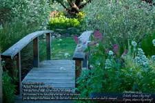 1Cor15.webp