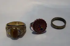 3 ring day   1.webp