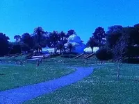 Golden Gate Park S.F. pictures 007.webp