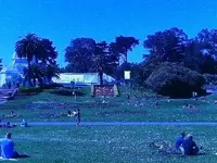 Golden Gate Park S.F. pictures 008.webp