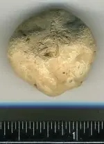 Musket Ball Shot (a).webp