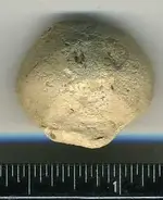 Musket Ball Shot (b).webp