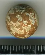Musket Ball Dropped.webp