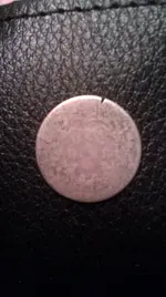 IMAG0059.webp