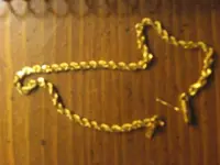IMG_2141gold1.webp