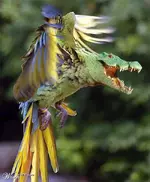 Photoshop #16.webp