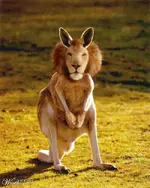 Photoshop #19.webp