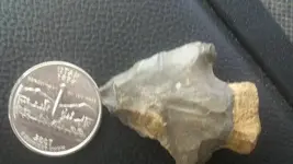 Arrowhead 2.webp