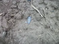 102_1530.webp