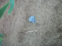 102_1531.webp