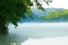 Upstream Cumberland River.webp