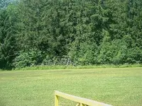 Picture 005.webp