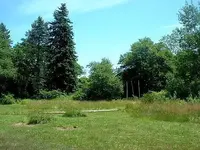 Picture 006.webp Picture 006.webp