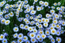 7-23c.webp