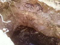 MILK DUMP (2).webp