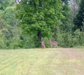 100_0751.webp