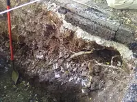 MILK DUMP (4).webp