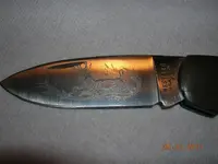 DSCN4801.webp