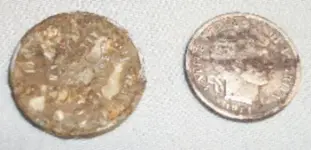 dime.webp