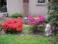 519 AZ1.webp