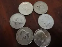 40%halves.webp