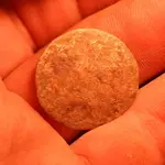NH FINDS 07-11 012.webp