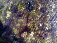 NH FINDS 07-11 022.webp