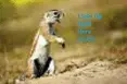avatar_30560.webp